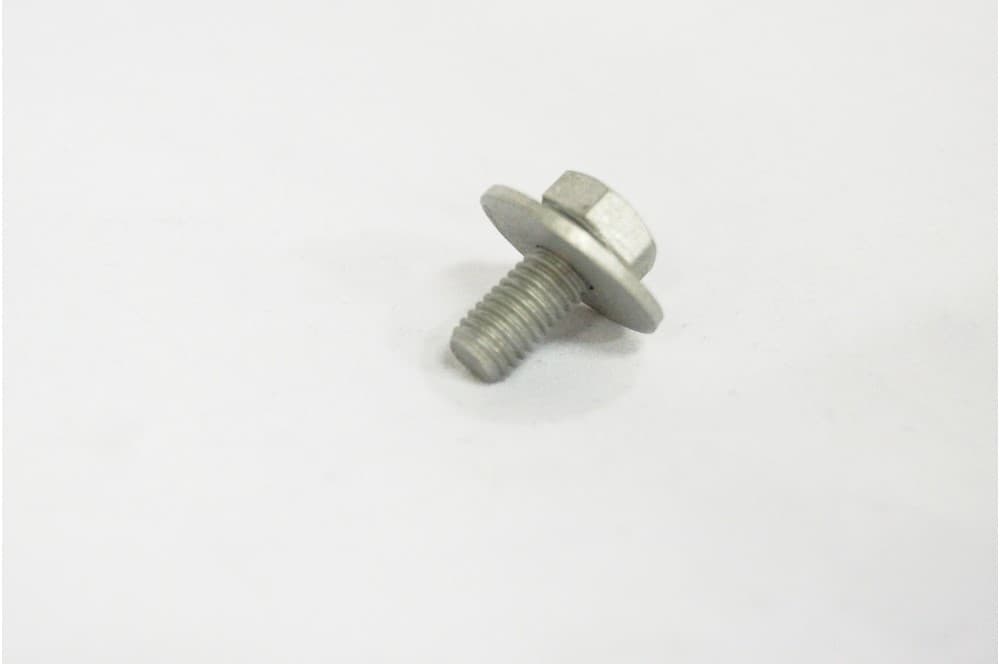 Screw