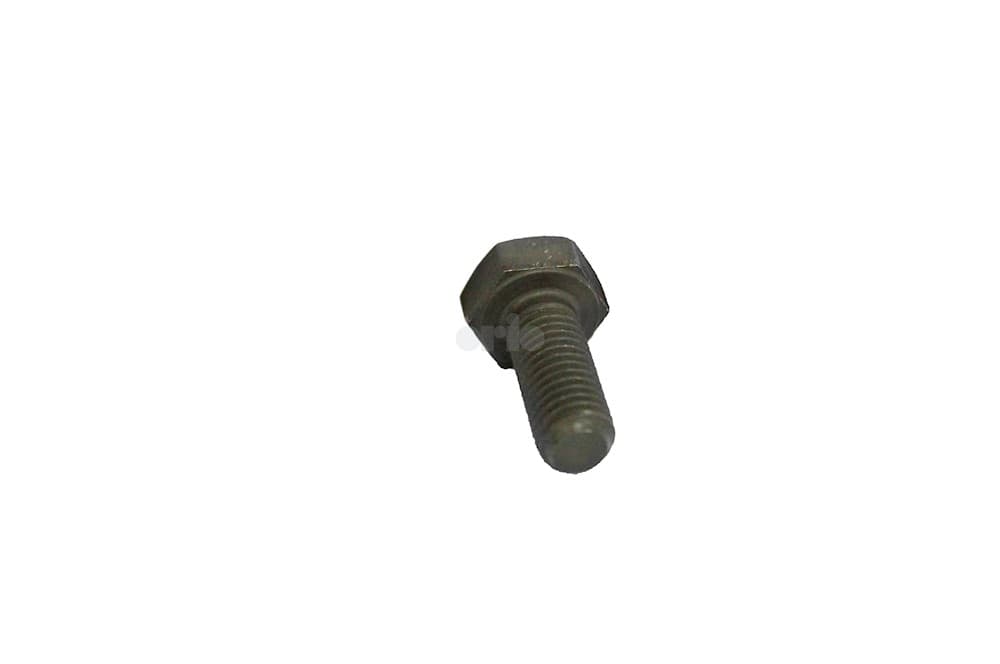 Screw