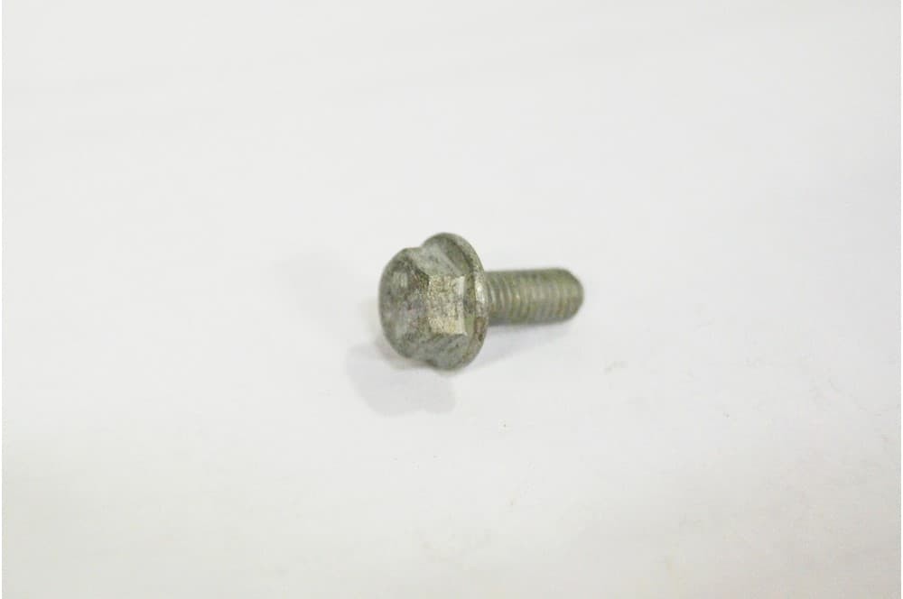 Screw
