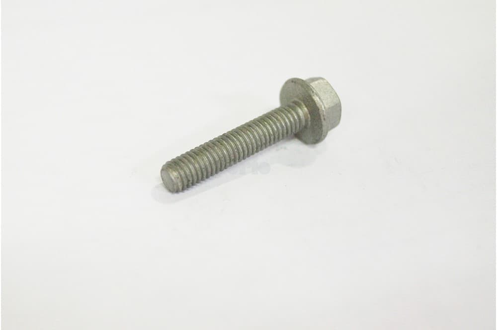 Screw