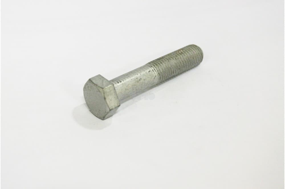 Screw