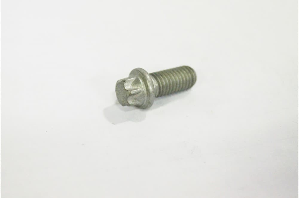 Screw