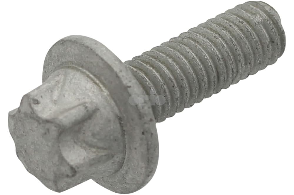 Screw