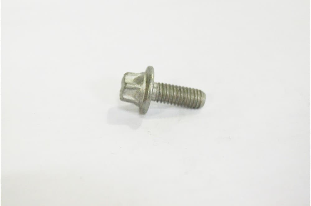 Screw
