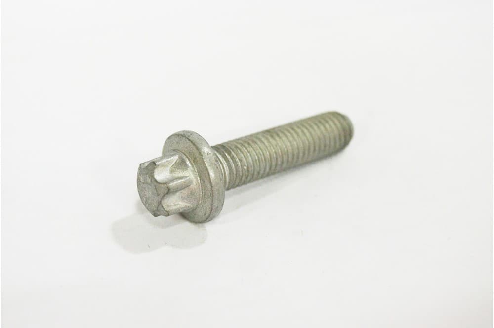 Screw