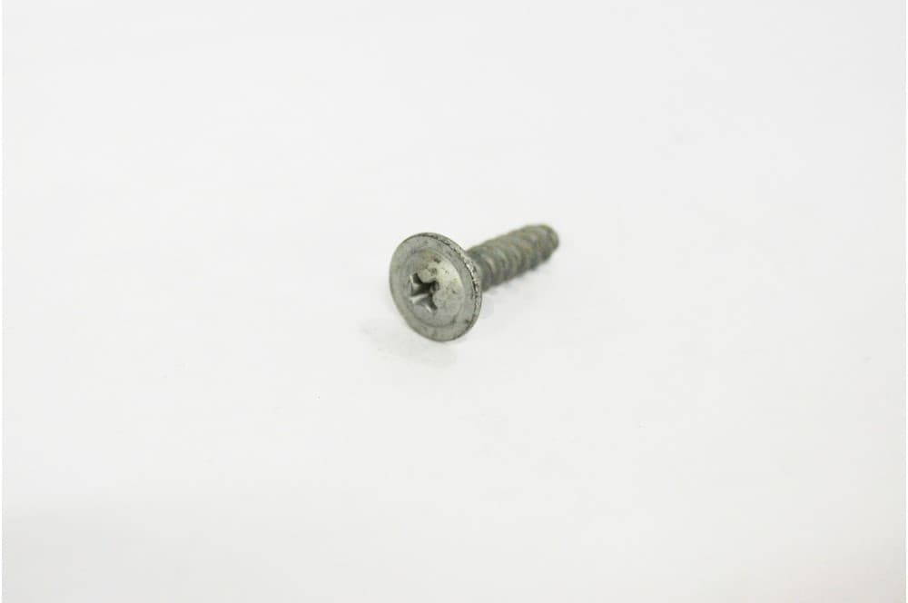 Screw