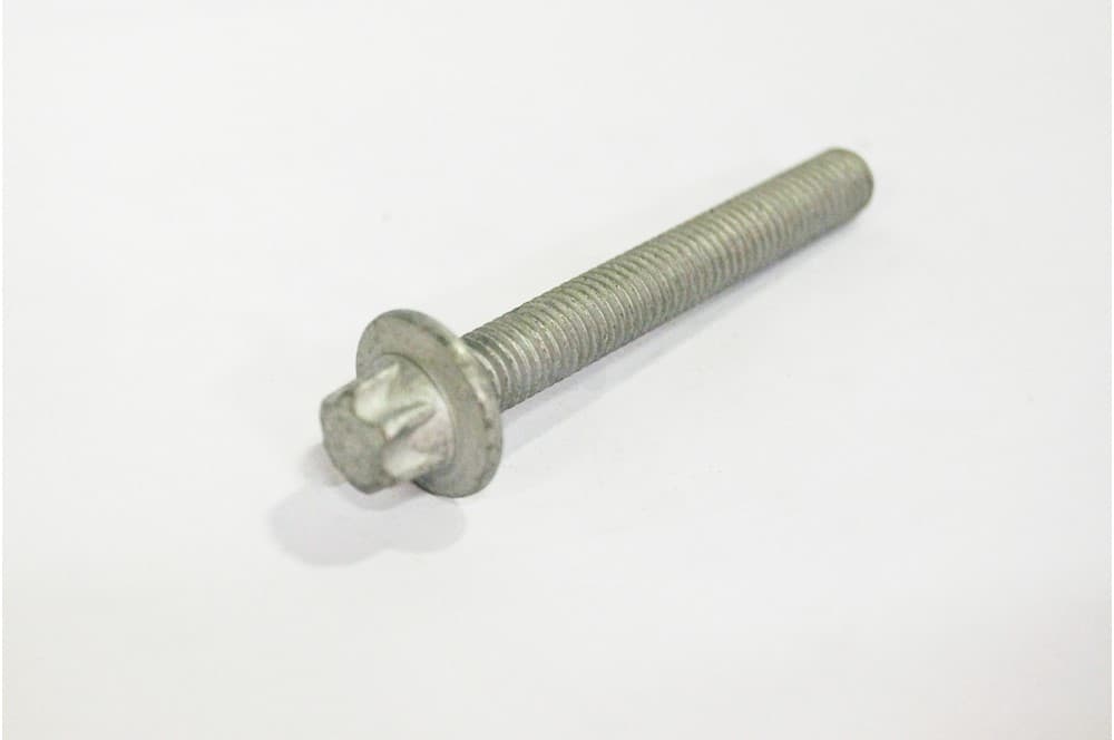 Screw