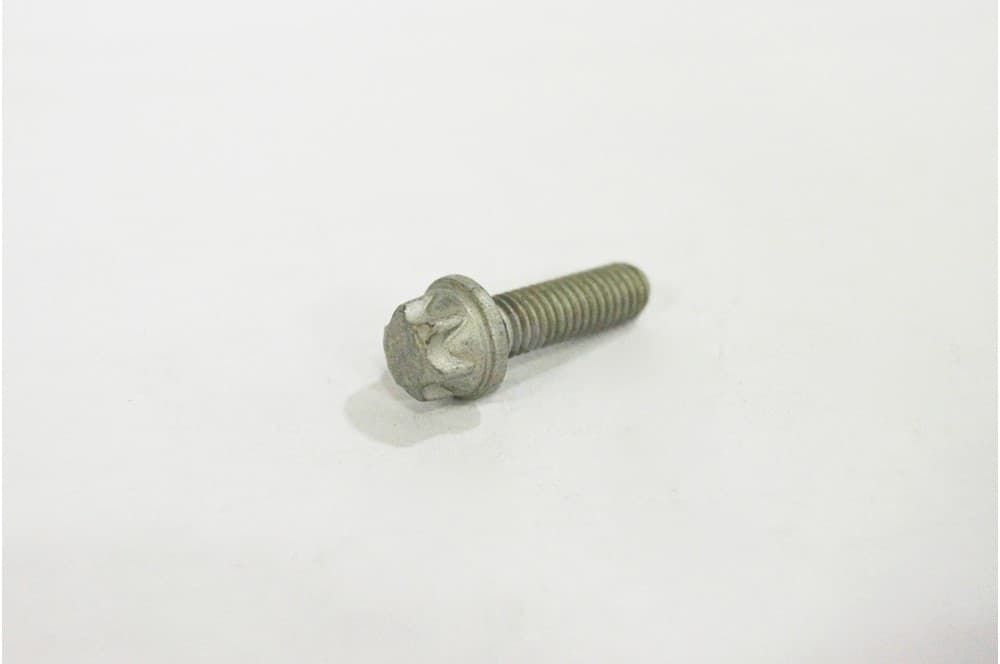 Screw