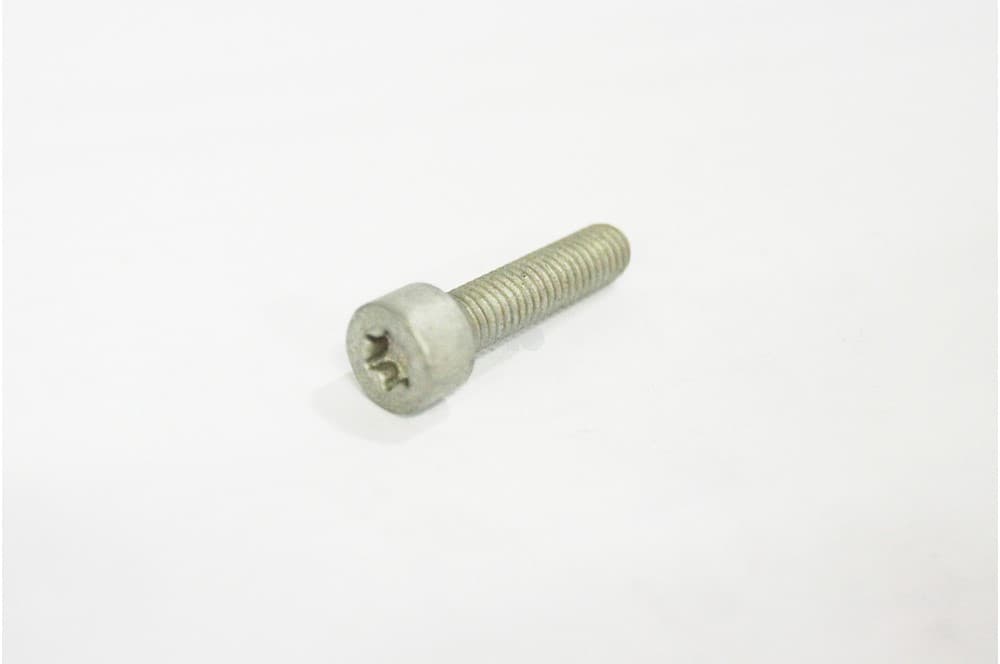 Screw