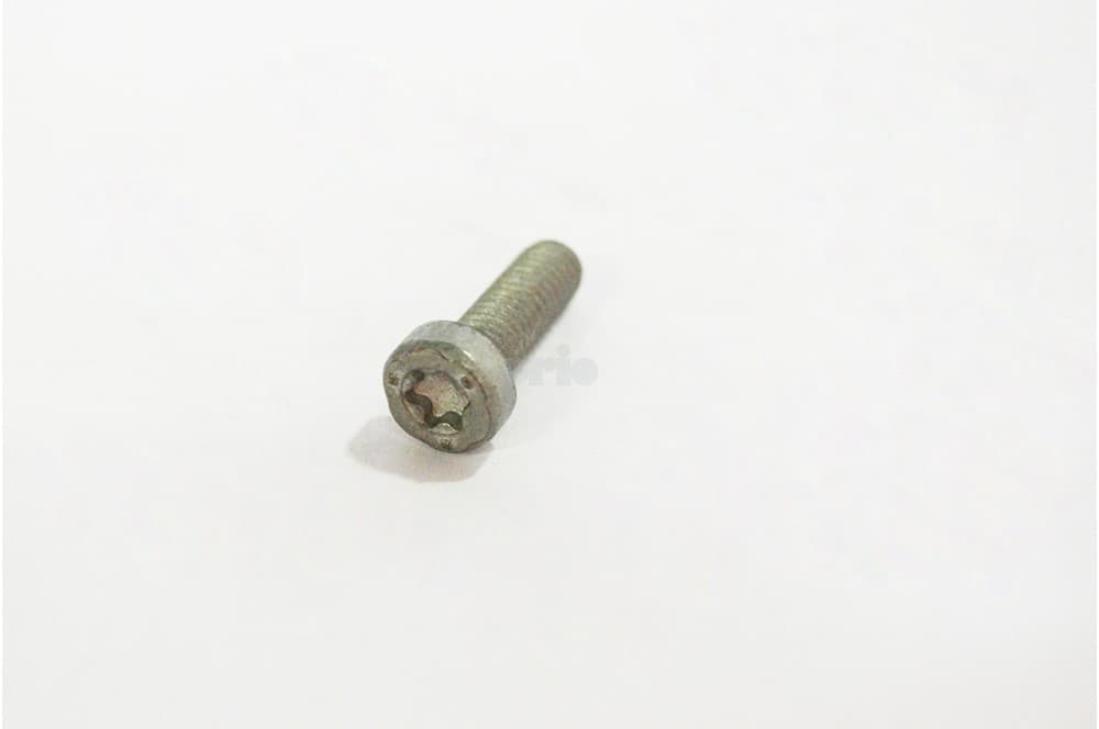 Screw