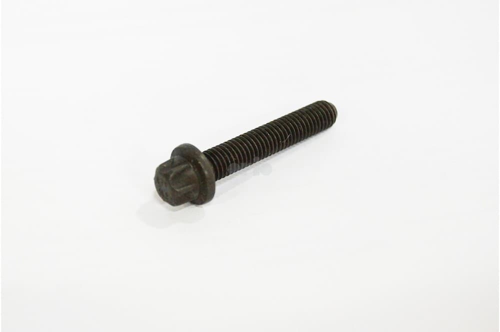 Screw