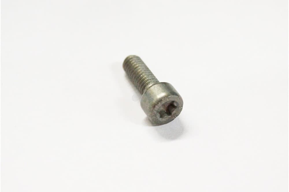 Screw