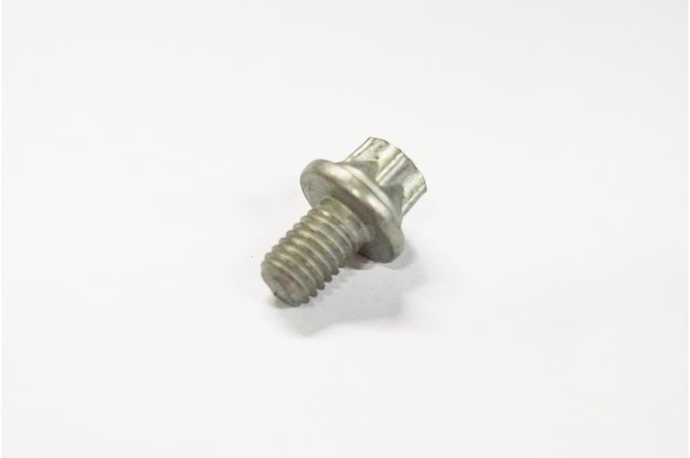 Screw