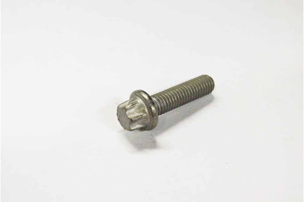 Screw