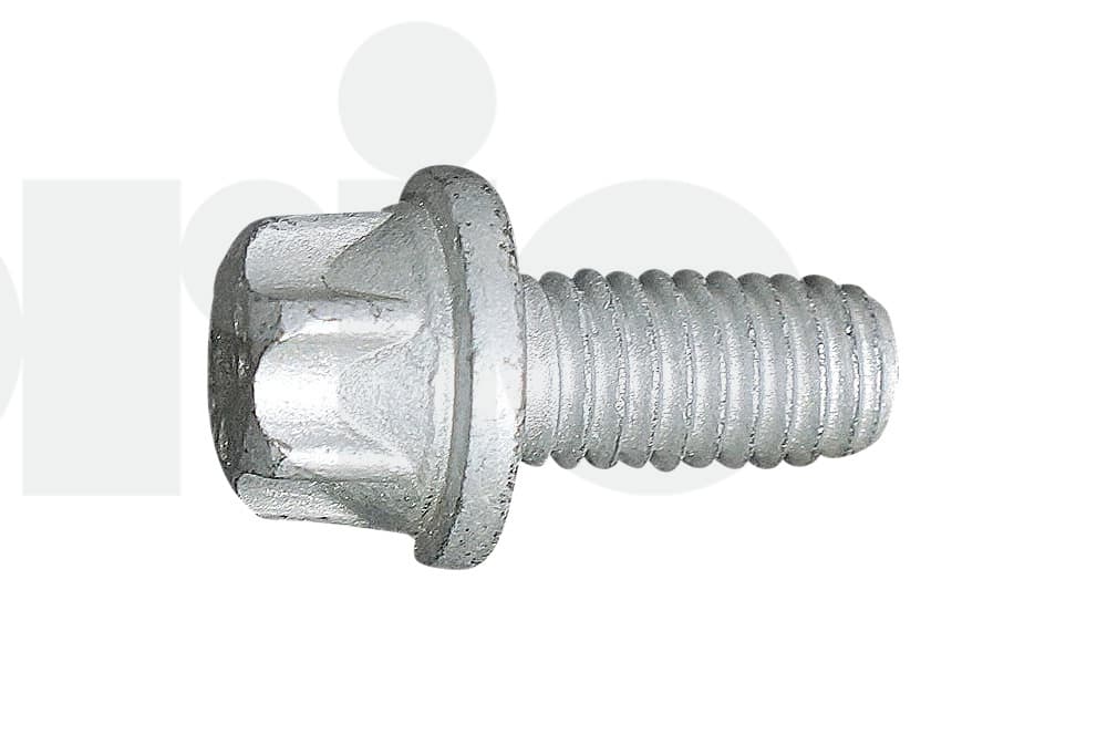 Screw