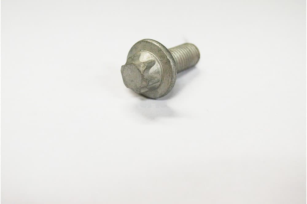 Screw