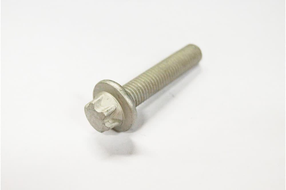 Screw