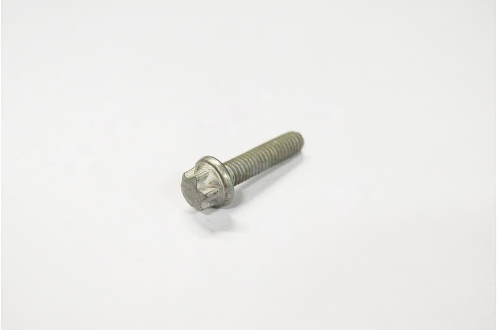 Screw