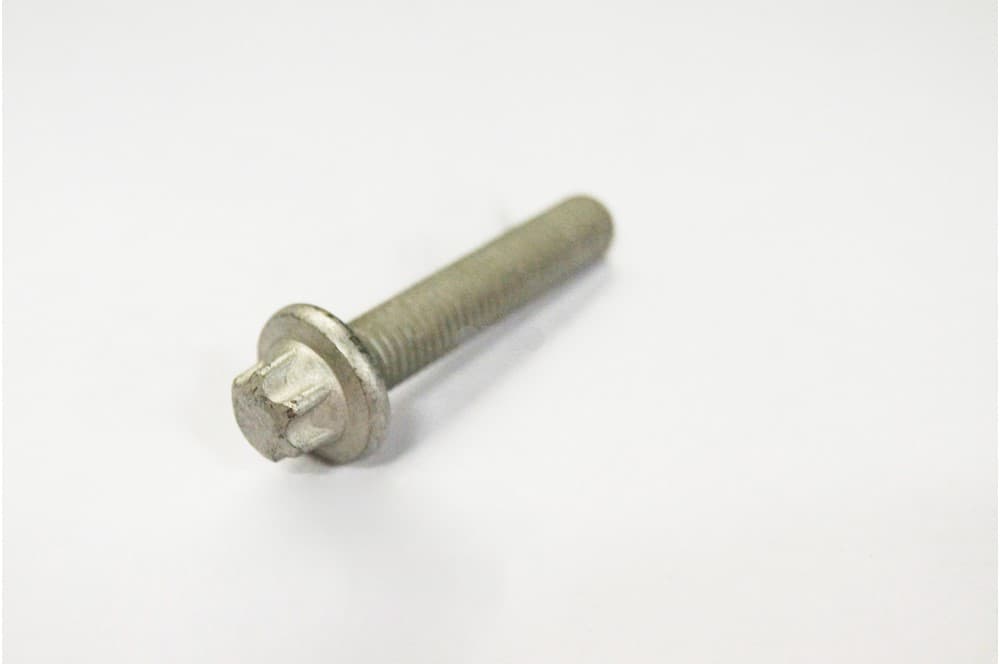 Screw