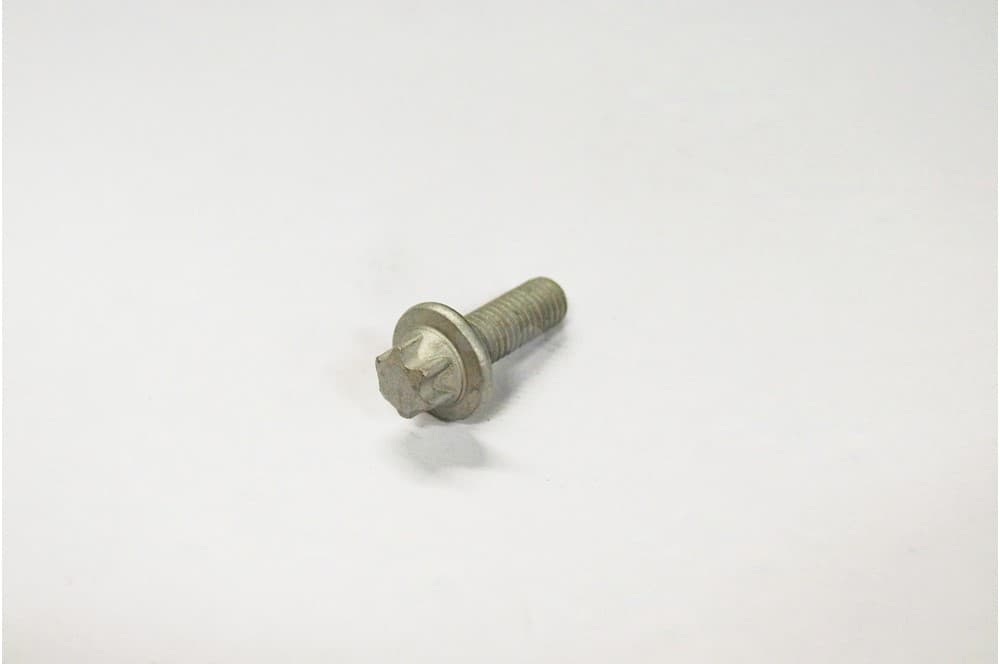 Screw