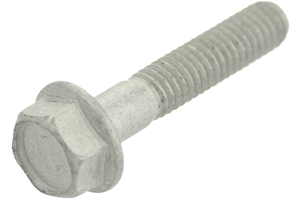 Screw