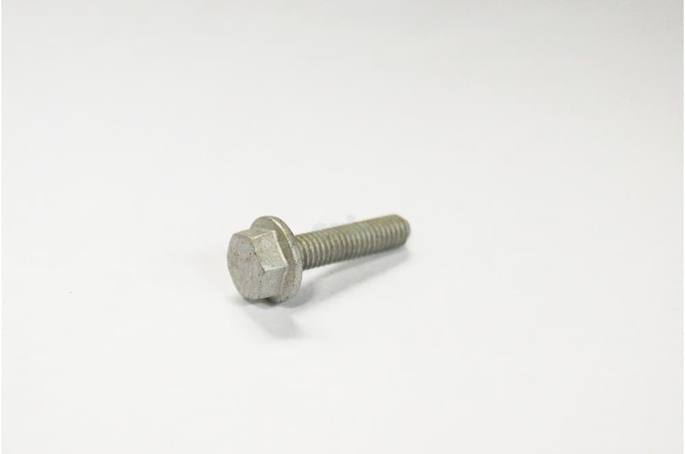 Screw