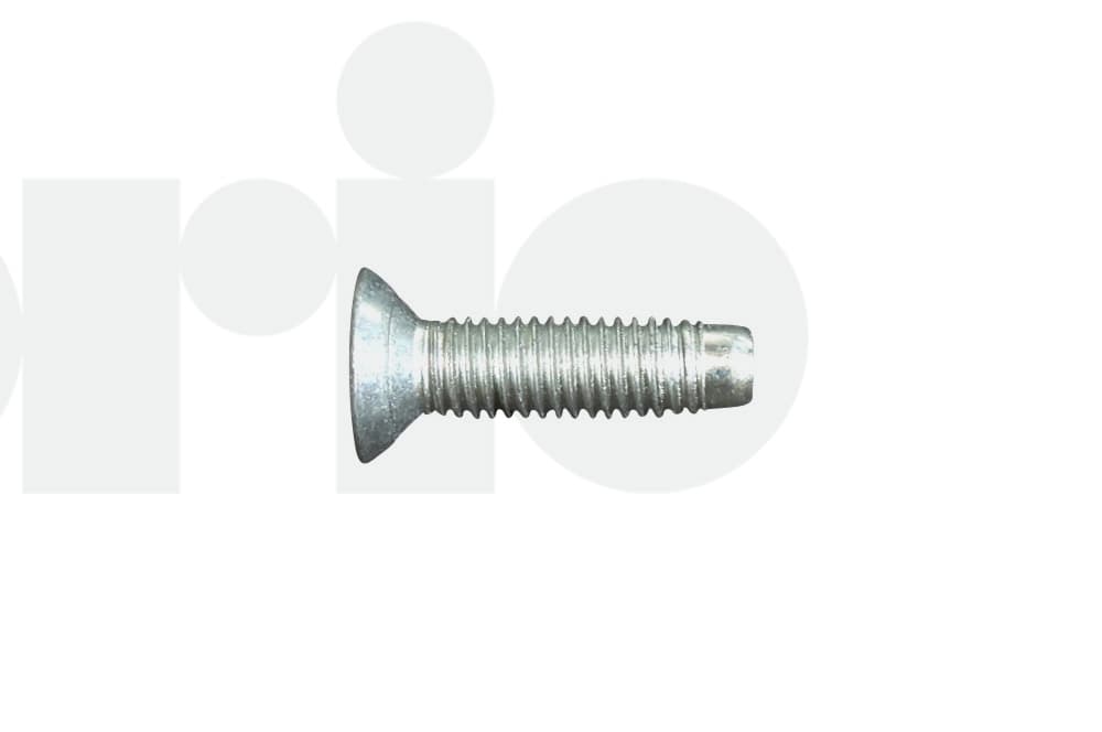 Screw