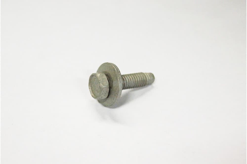 Screw