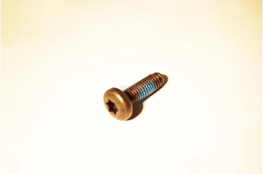 Screw