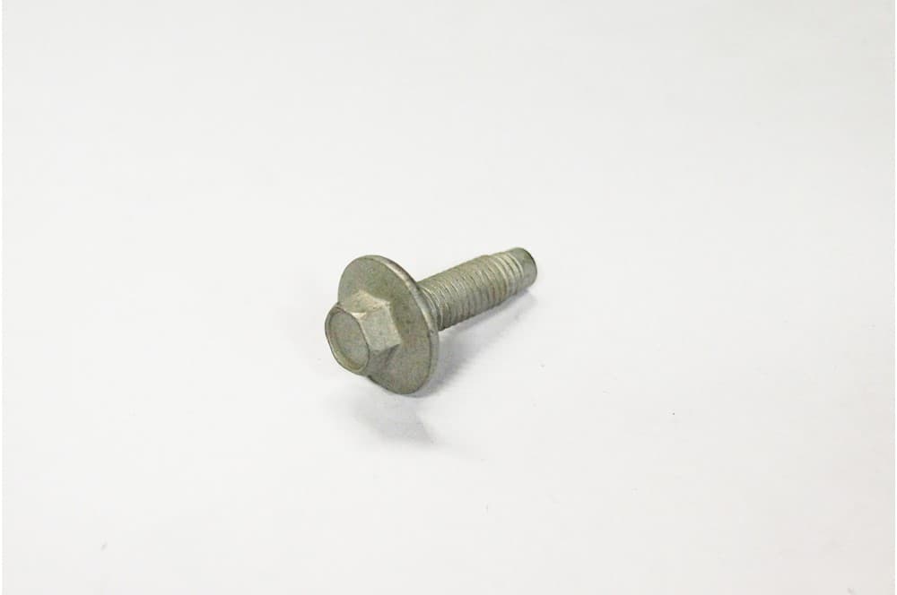 Screw