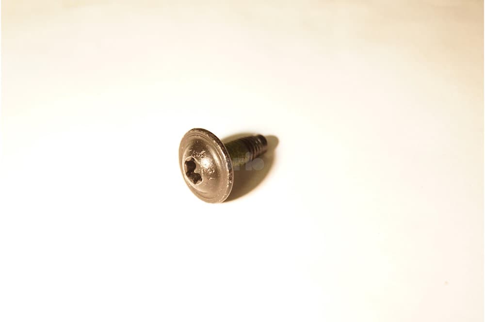 Screw