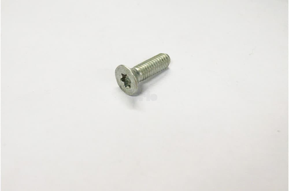 Screw