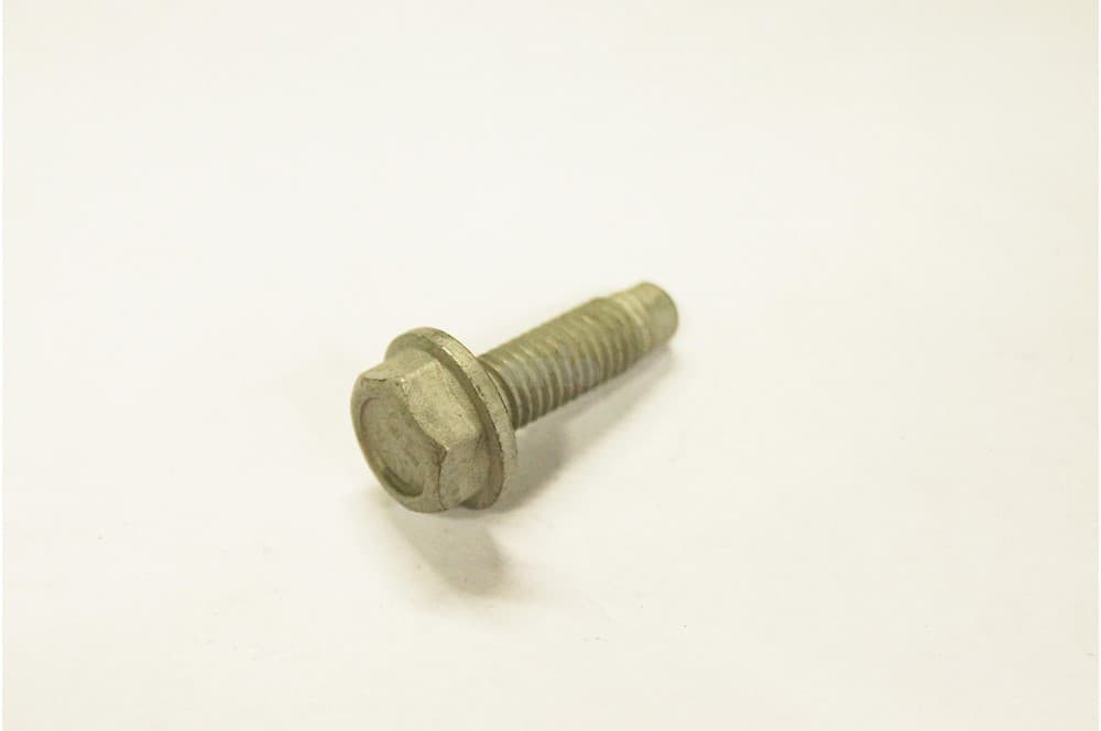 Screw