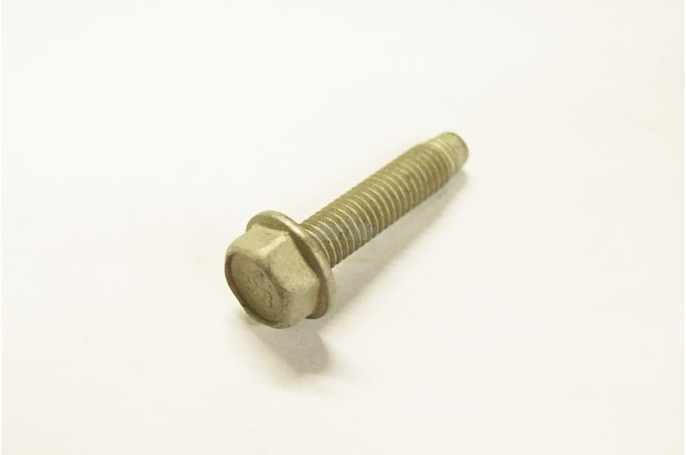 Screw