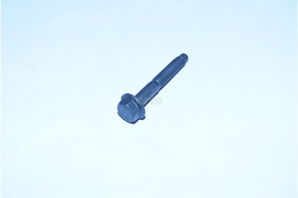 Screw