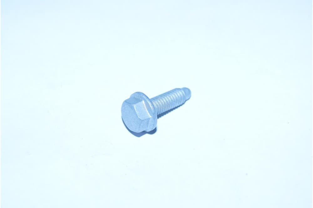 Screw