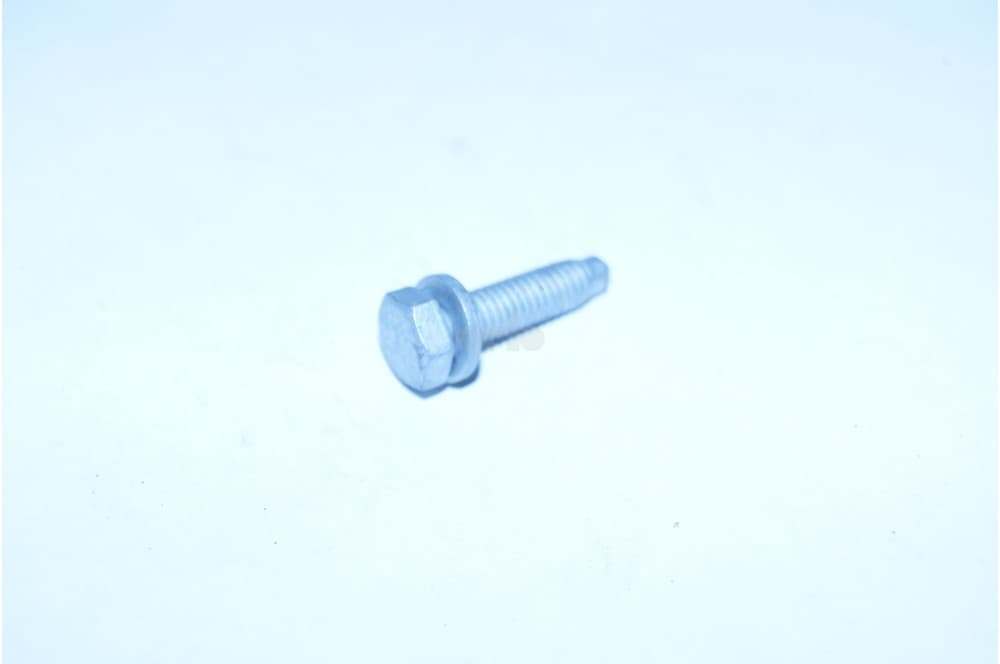 Screw