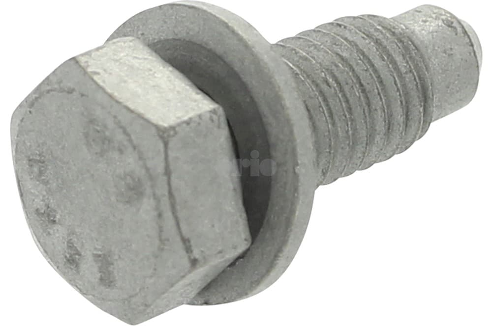 Screw