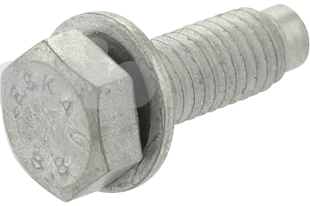 Screw