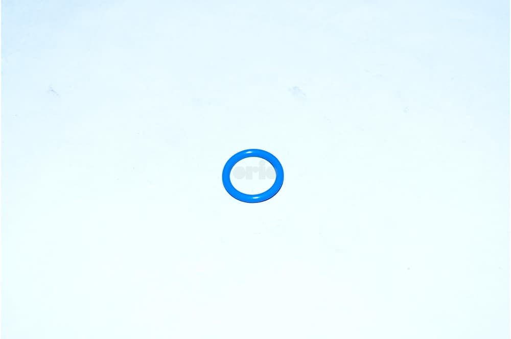 Sealing ring