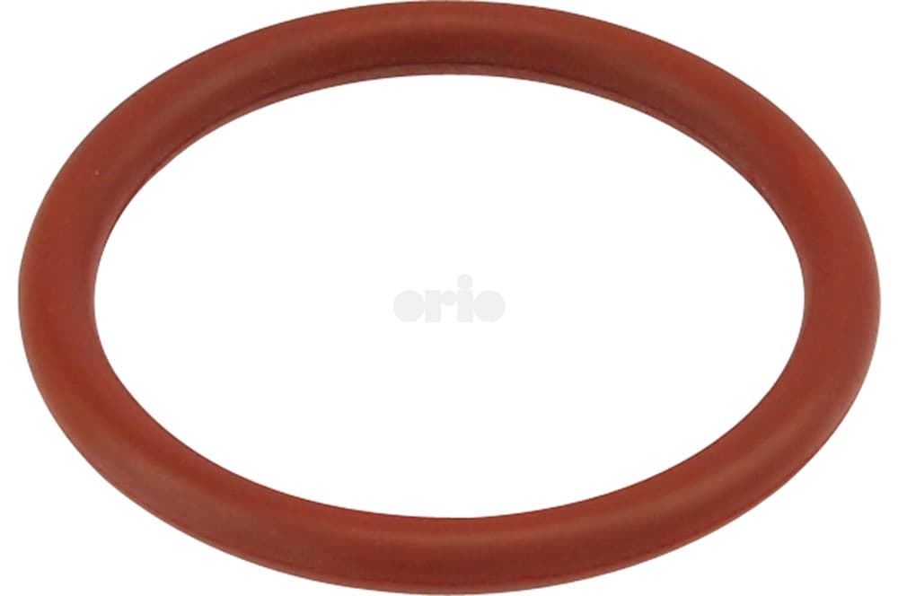 O-ring