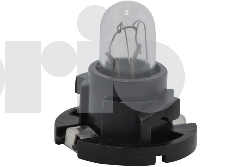 Bulb