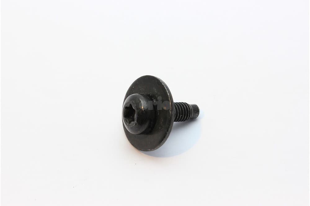 Screw