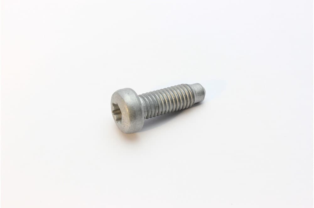 Screw