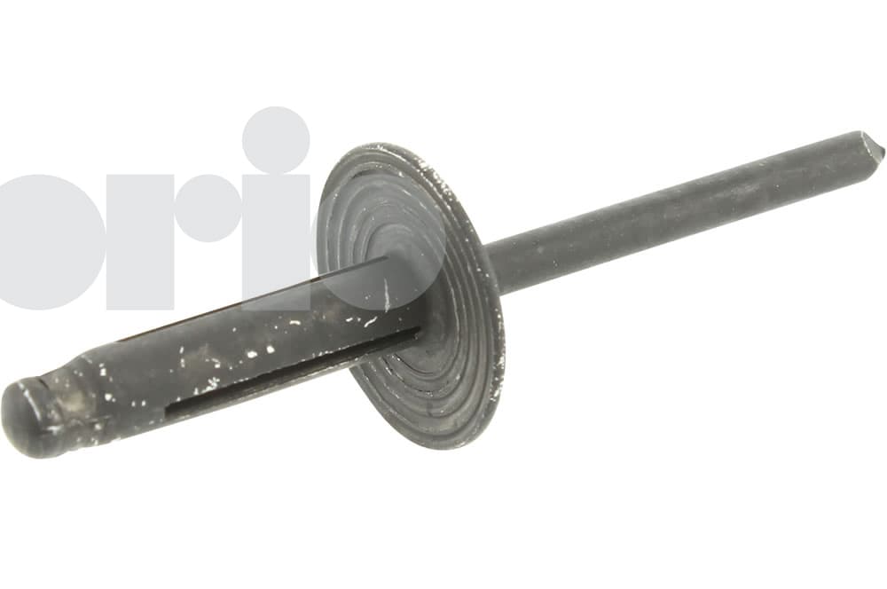 Rivet