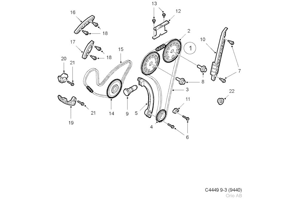 Timing chain gear