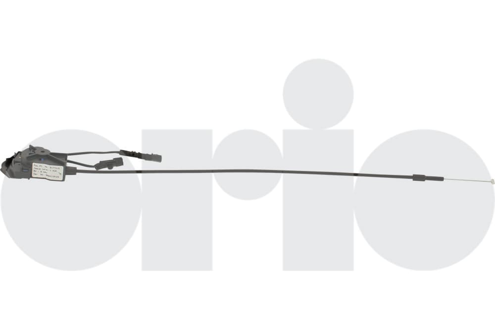 Cable
