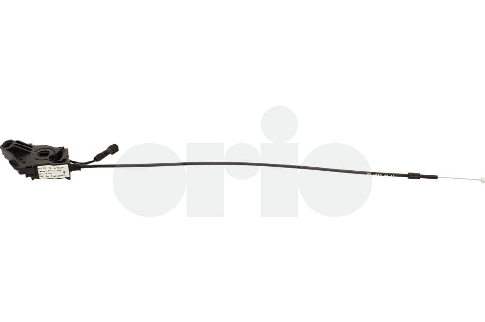 Cable