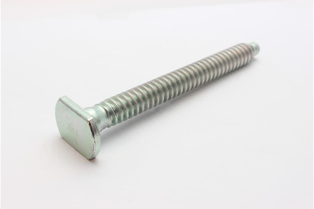 Screw