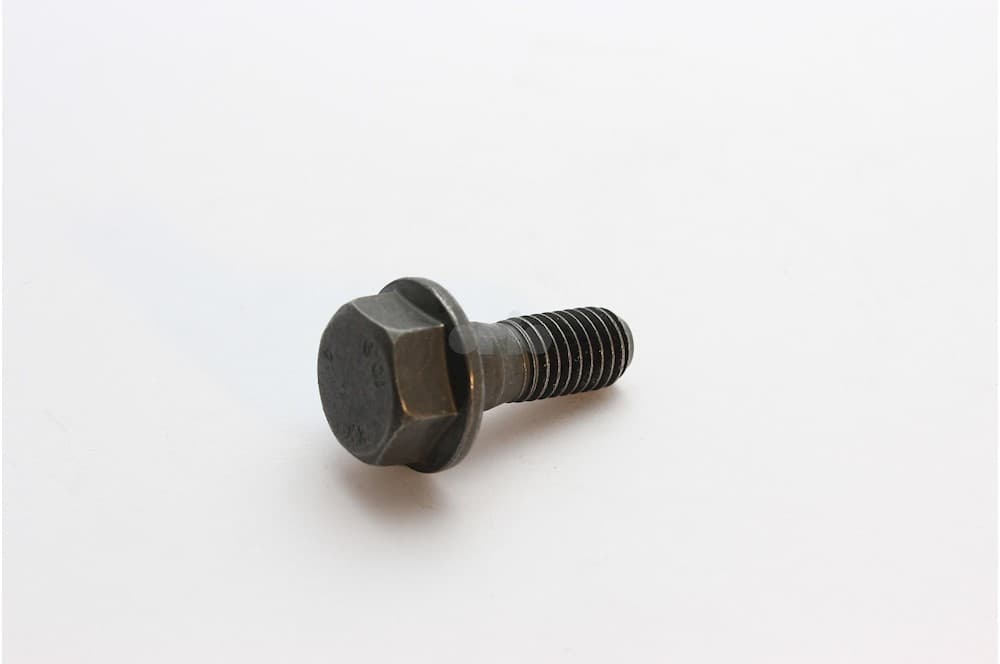 Screw-1